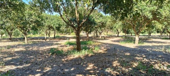 4 chambres Maison à Sassari, Italy No. 362573 49