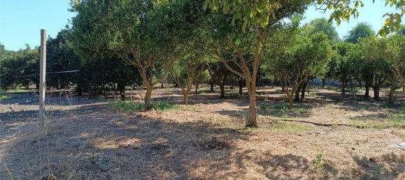 4 chambres Maison à Sassari, Italy No. 362573 22