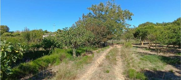 4 chambres Maison à Sassari, Italy No. 362573 10