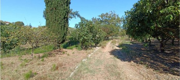 4 chambres Maison à Sassari, Italy No. 362573 8