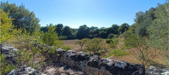 4 chambres Maison à Sassari, Italy No. 362573 18
