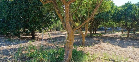 4 chambres Maison à Sassari, Italy No. 362573 35