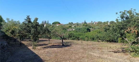 4 chambres Maison à Sassari, Italy No. 362573 40