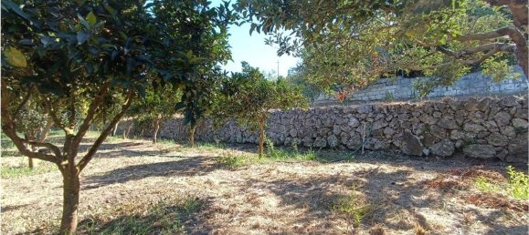 4 chambres Maison à Sassari, Italy No. 362573 36