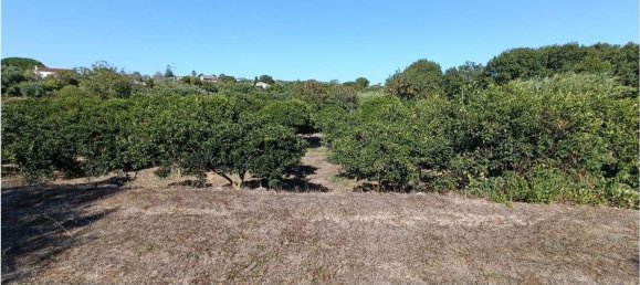 4 chambres Maison à Sassari, Italy No. 362573 43