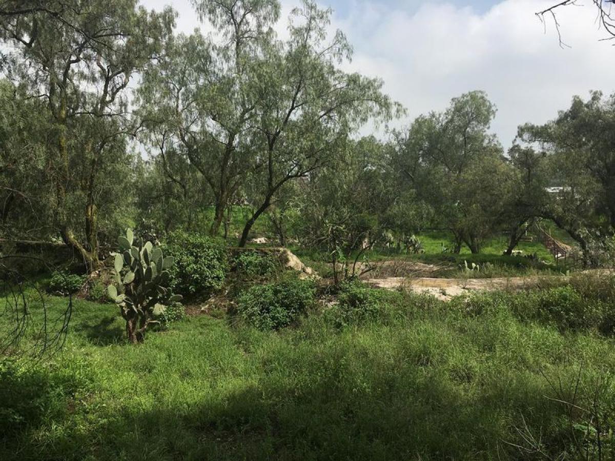 Grundstück in Zumpango, Mexico, Nr. 206474