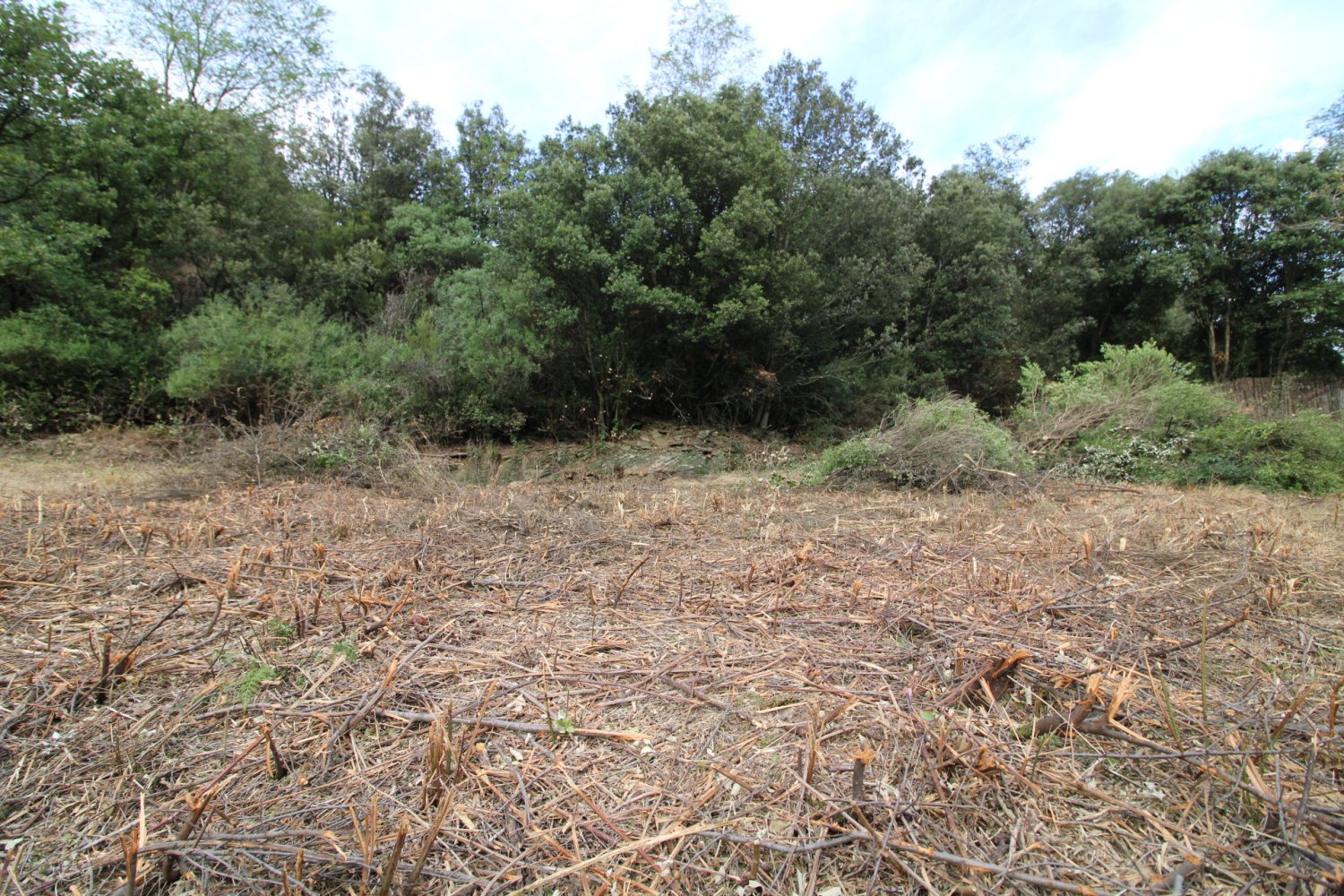  قطعة أرض في Les Plantiers, France رقم 102363