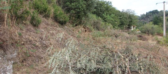  قطعة أرض في Les Plantiers, France رقم 102363 6