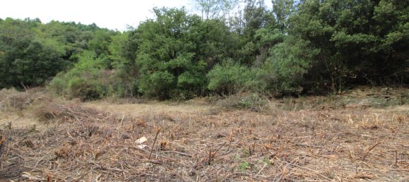  قطعة أرض في Les Plantiers, France رقم 102363 2