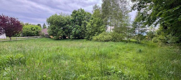 Land in Eidenberg, Austria No. 127907 3