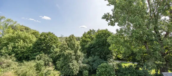 Дуплекс с 2 комнатами в Нюрнберг, Германия № 362879 2