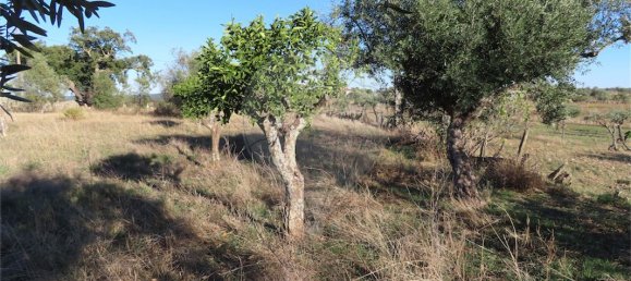 2 bedrooms House in Perais, Portugal No. 175618 21