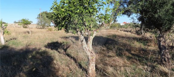 2 bedrooms House in Perais, Portugal No. 175618 15