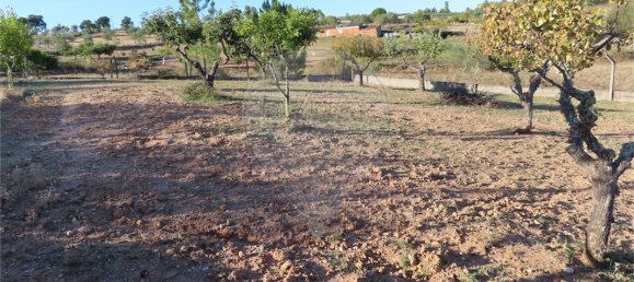 2 bedrooms House in Perais, Portugal No. 175618 11