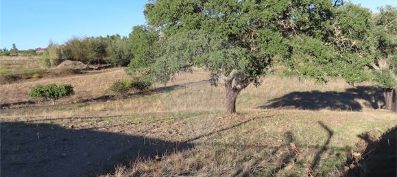 2 bedrooms House in Perais, Portugal No. 175618 14