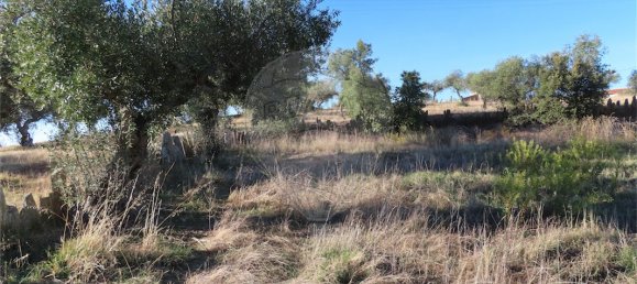 2 bedrooms House in Perais, Portugal No. 175618 16