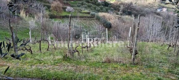 2 chambres Villa à Castrolibero, Italy No. 36581 27