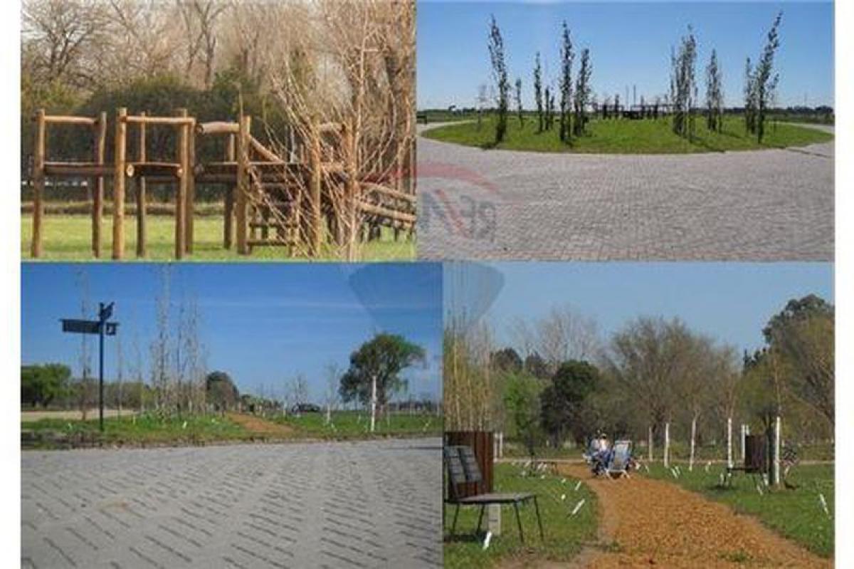  Land in Santa Fe, Argentina No. 35859