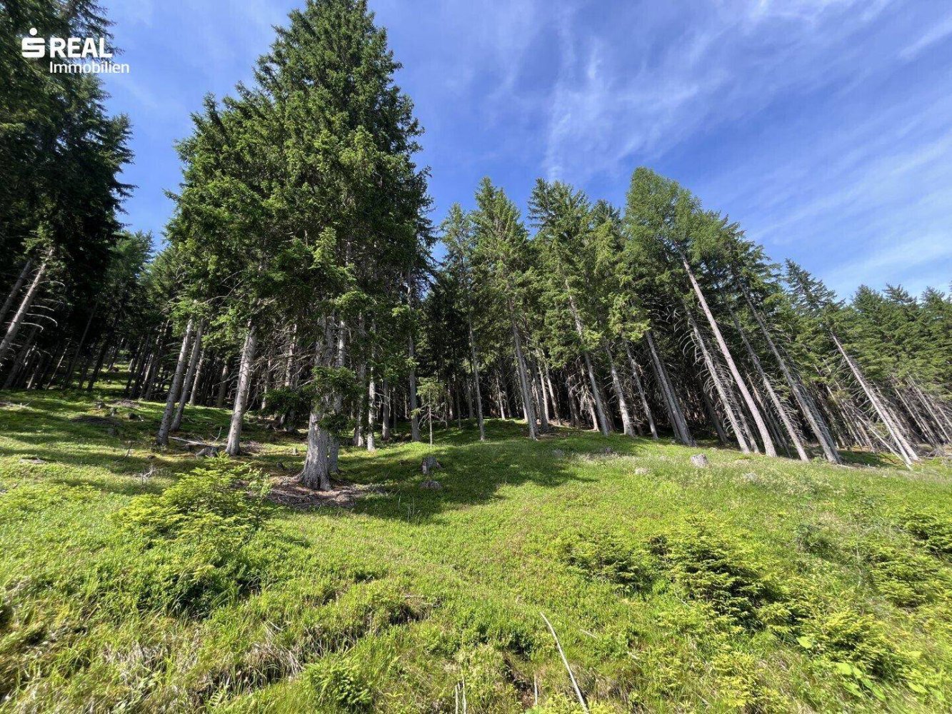  Land in Tamsweg, Austria No. 159031