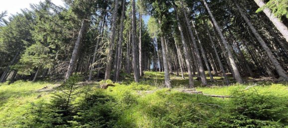 Земельный участок в Тамсвег, Австрия № 159031 7