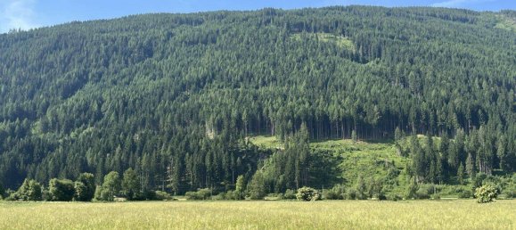 Земельный участок в Тамсвег, Австрия № 159031 5