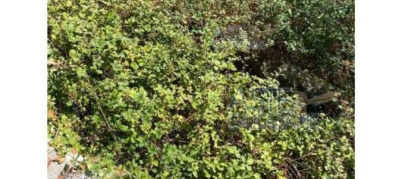 Grundstück in Oricola, Italy 20602m², Nr. 323690 8