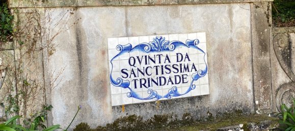 Дом с 10 спальнями в Каминья, Португалия № 123038 30