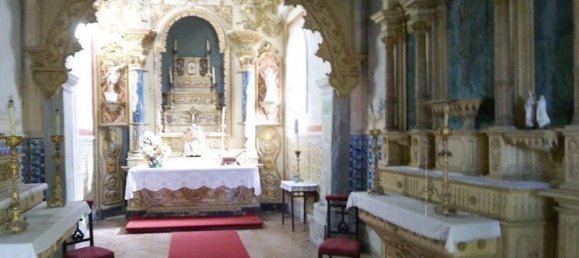 Дом с 10 спальнями в Каминья, Португалия № 123038 5