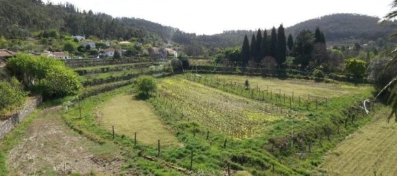 Дом с 10 спальнями в Каминья, Португалия № 123038 8