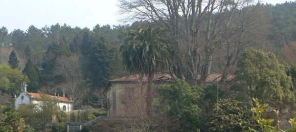 Дом с 10 спальнями в Каминья, Португалия № 123038 16