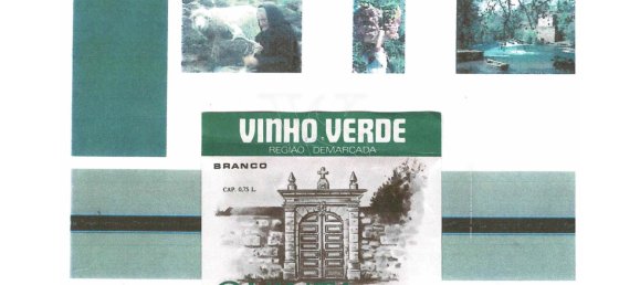 Дом с 10 спальнями в Каминья, Португалия № 123038 18