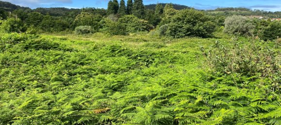 Дом с 10 спальнями в Каминья, Португалия № 123038 27