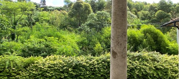 Дом с 10 спальнями в Каминья, Португалия № 123038 44