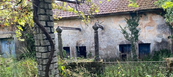 Дом с 10 спальнями в Каминья, Португалия № 123038 24