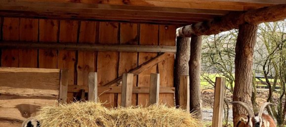 4 chambres Villa à Borde, Germany No. 267375 17