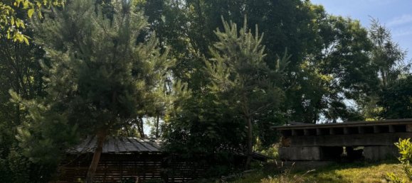 4 chambres Villa à Borde, Germany No. 267375 23