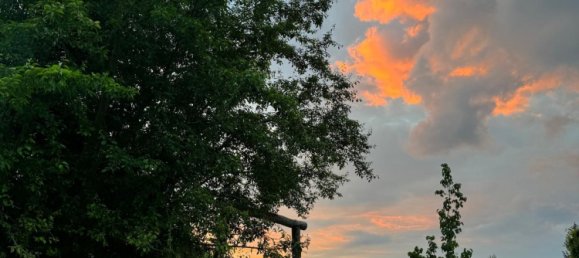 4 chambres Villa à Borde, Germany No. 267375 22