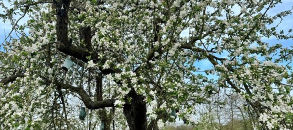 4 chambres Villa à Borde, Germany No. 267375 24