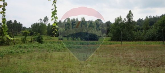 Grundstück in Vale de Bouro, Portugal 1223m², Nr. 41071 2