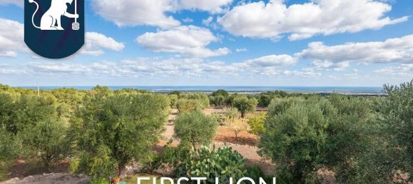 12 rooms House in Fasano, Italy No. 18469 3