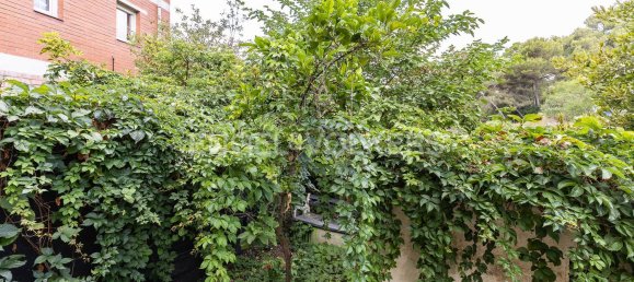 2 bedrooms House in Vallirana, Spain No. 172087 17