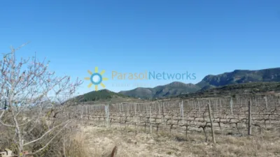 Земельный участок в Валенсия, Испания № 154328