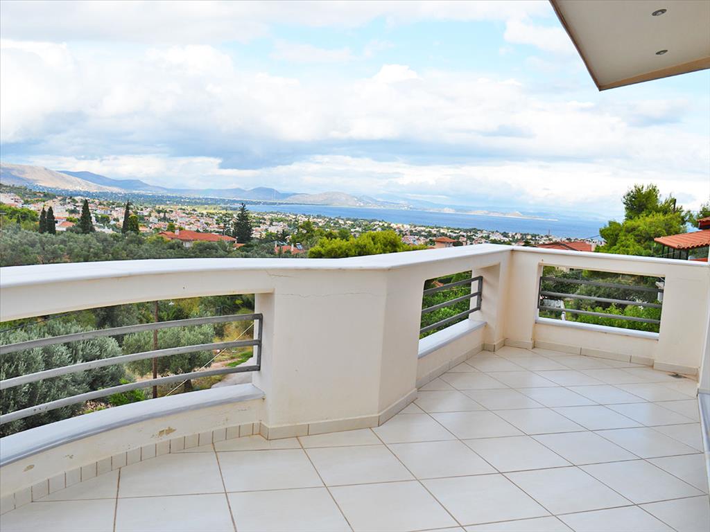 4 chambres Propriété commerciale à Marathon, Greece No. 6927