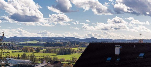 2 rooms Apartment in Kirchheim im Innkreis, Austria No. 59291 5