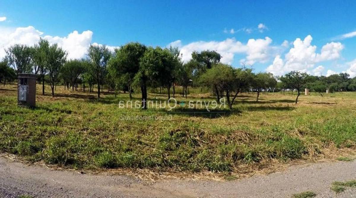  Land in Cordoba, Argentina No. 36662