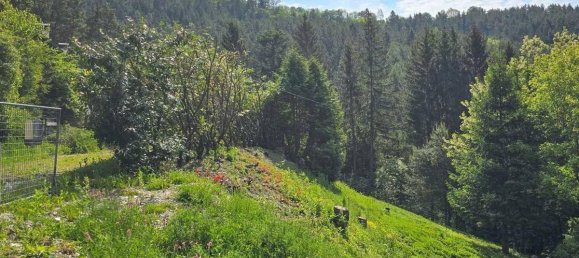 9-salle Maison à Feistritz am Wechsel, Austria No. 28581 15