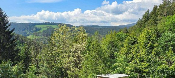 9-salle Maison à Feistritz am Wechsel, Austria No. 28581 18