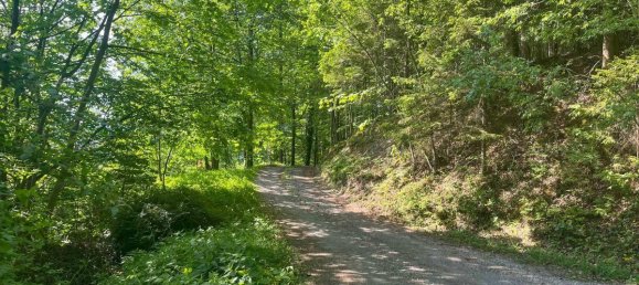9-salle Maison à Feistritz am Wechsel, Austria No. 28581 22