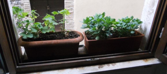 3 rooms House in Scurcola Marsicana, Italy No. 72330 10