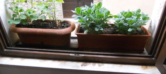 3 rooms House in Scurcola Marsicana, Italy No. 72330 9